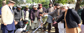 Tree plantation at SZIC; 1,000 new trees to be planted in the ground: VC - Dr Ali promises planting 10,000 trees this year