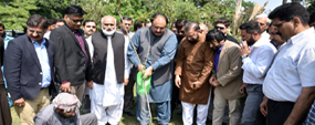 One lac tree plantation drive launched at PU