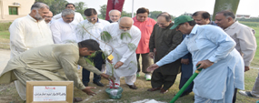 PU VC inaugurates adopt a tree campaign