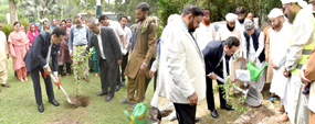 Tree plantation at PU