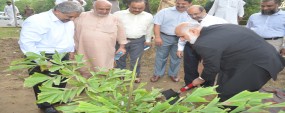 PU VC plants trees, inaugurates Family Park