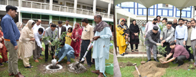 Plantation drive at PU