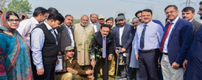 World can’t function without trees, PU VC