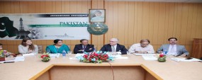 NAP is Int’l plan to combat terror: Italian professor