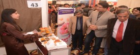 Entrepreneurship to help uplift country: Raza Ali Gillani