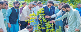 PU VC launches tree plantation drive