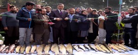 Fish sale point inaugurated at PU